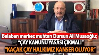 Balaban merkez muhtarı Dursun Ali Musaoğlu; “Çay kanunu yasası çıkmalı”