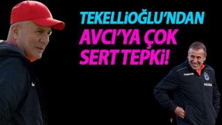 Sadi Tekelioğlu'ndan Avcı'ya çok sert tepki!