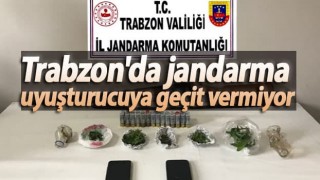 Trabzon'da jandarma uyuşturucuya geçit vermiyor