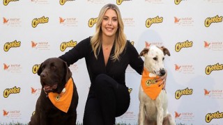 Cheetos, Haytap ve Eda Ece Hayvanlar için Güçlerini Birleştirdi