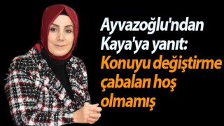 Bahar Ayvazoğlu'ndan Ahmet Kaya'ya yanıt