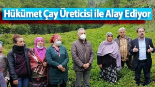 Hükümet Çay Üreticisi ile Alay Ediyor