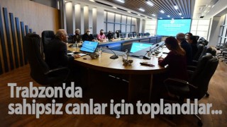 Trabzon'da sahipsiz canlar için toplandılar...