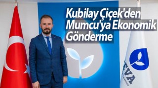 Kubilay Çiçek'den Mumcu'ya Ekonomik Gönderme