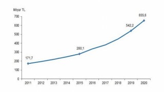 Sosyal Koruma İstatistikleri, 2020