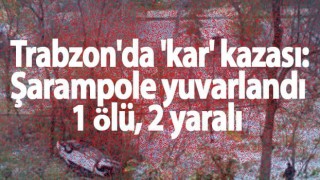 Trabzon'da 'kar' kazası: Şarampole yuvarlandı
