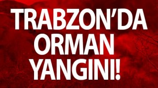 Trabzon’da orman yangını