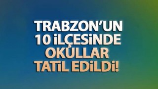 Trabzon'un 10 ilçesinde kar tatili