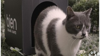 Bien’den minik patilere Kedi Evi
