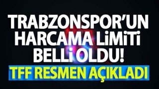 TFF Harcama Limitlerini Açıkladı! Trabzonspor'un transfer harcama limiti