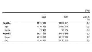 Hayvansal Üretim İstatistikleri, Aralık 2021