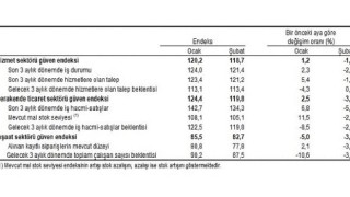 Hizmet, Perakende Ticaret ve İnşaat Güven Endeksleri, Şubat 2022