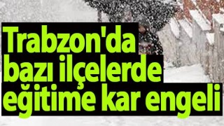 Trabzon'da bazı ilçelerde eğitime kar engeli