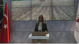 Tüm Bilirkişiler Mesleki ve Dayanışma Derneği Başkanı Dilek Köktaş Gündoğdu Açıkladı