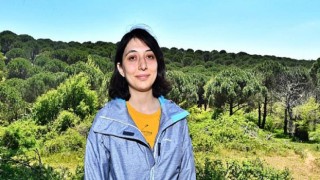 Kozak’ta çam fıstığı için mücadele sürüyor
