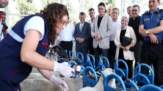 Aliağa’da Yavru Ölümlerine Karşı Aşı Kampanyası Başladı
