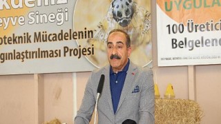 Gümüldür mandalinası Akdeniz meyve sineğinden tuzaklarla kurtulacak