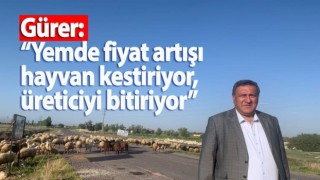 Gürer: “Yemde fiyat artışı hayvan kestiriyor, üreticiyi bitiriyor”