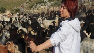 Kırkım Şenliği için tüm hazırlıklar tamam!