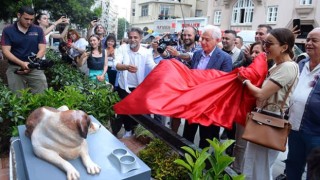 Nişantaşı’nın Efsanesi Tommy Ölümsüz Oluyor