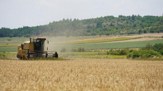 Başkan Gerenli’den buğday hasadı! “40 ton buğday halk için un olacak!”