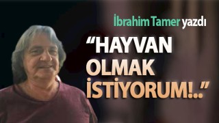 İbrahim Tamer. Hayvan Olmak İstiyorum!..