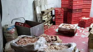 Mide bulandıran olay: Baskında ortaya çıkan manzara şaşkına çevirdi