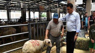 Türkiye’nin En Modern Kurban Pazarında Hareketli Günler...Osmangazi