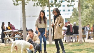 Yakın Doğu Üniversitesi’nde her 3 öğrenciden biri tam burslu!