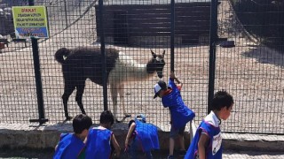 ​Miniklerin Gazi Rotası Keçiören