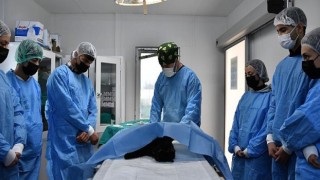 Osmangazi, Binlerce Sokak Hayvana Şifa oldu