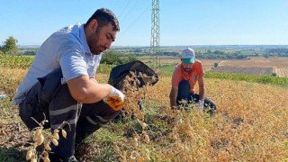 Sevgi Mutfağı’nın ihtiyaçları tarladan