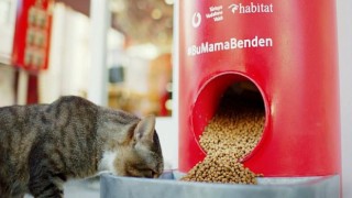 Vodafone Her Şey Yanımda’dan Pet Shop Alışverişi Sokak Hayvanları İçin Mamaya Dönüşüyor