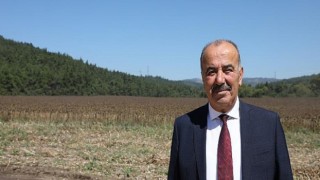 Mudanya Belediyesi’nden Topraktan Halka Ayçiçek Yağı