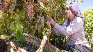 Gizemli Krallık Kommagene’nin Sırlarının İzinde Bir Keşif Şöleni