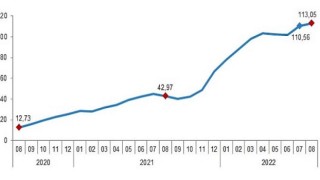 İnşaat maliyet endeksi yıllık yüzde 116,98, aylık yüzde 1,98 arttı