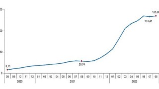 Tarımsal girdi fiyat endeksi (Tarım-GFE) yıllık yüzde 135,06, aylık yüzde 1,64 arttı