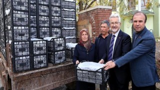 Nilüfer Belediyesi’nden kadın üreticilere 100 bin çilek fidesi