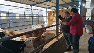 Muğla Büyükşehir Çiftçi Eğitimlerine Devam Ediyor