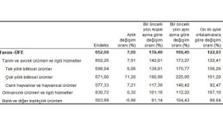 TÜİK Tarım ürünleri üretici fiyat endeksi (Tarım-ÜFE) yıllık %169,45, aylık %7,00 arttı