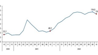 TÜİK Toplam ciro yıllık yüzde 124,8 arttı