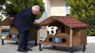 Karabağlar'n 2023 yılı kedi evleri hazır