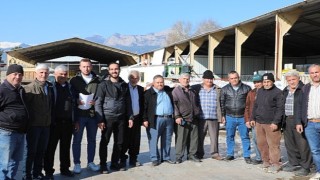 Antalya Büyükşehir'den Alanyalı çiftçilere sera naylonu yardımı