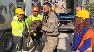 İzmir Büyükşehir Belediyesi depremden etkilenen hayvanları unutmadı