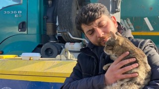 Sincan Belediyesi Can Dostlarımızı Unutmadı!