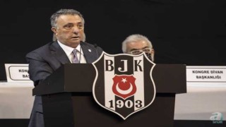 Beşiktaş UEFA'ya gidiyor .