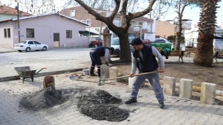 Burhaniye'de Yeşil Alanlar Yenileniyor