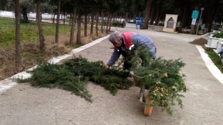 Burhaniye'nin Mezarlıklarında Periyodik Bakım Yapılıyor