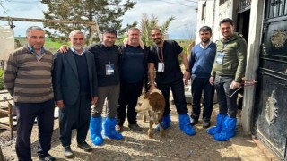 DEÜ'lü Uzmanlardan Deprem Bölgesinde Şap Virüsü Uyarıları