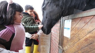Kocaelili çocukların atlarla dostluğu